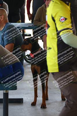 media/May-28-2023-Lets Ride (Sun) [[7acf226b67]]/Around the Pits/